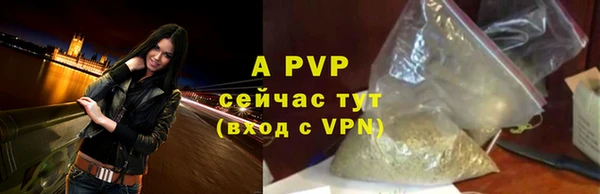 PSILOCYBIN Гусев