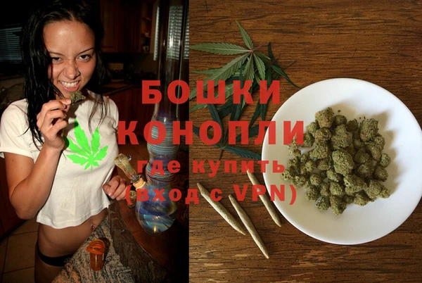 PSILOCYBIN Гусев