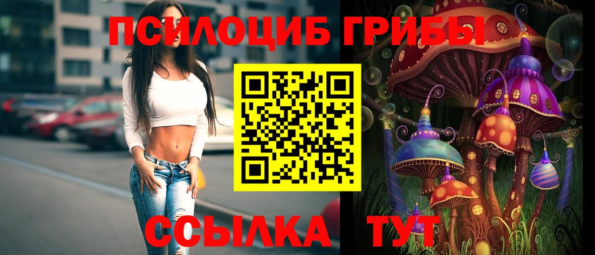 Псилоцибиновые грибы Psilocybine cubensis Нурлат