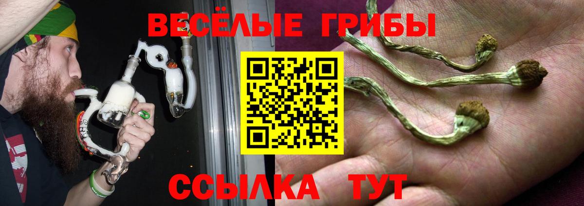 Псилоцибиновые грибы Cubensis  Нурлат 